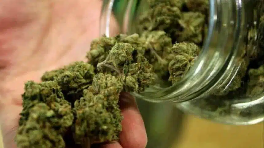 CBD
